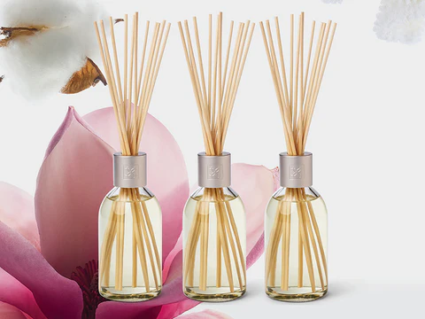 Elevate Your Everyday Atmosphere